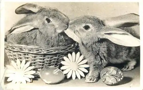 Holiday postcard rabbits kiss easter egg
