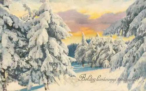 Holiday postcard New Year winter landscape forest