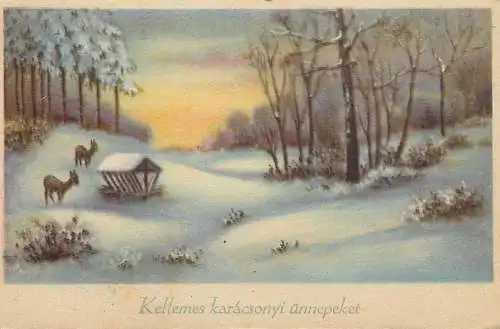 Holiday postcard New Year winter scenery deer Hungary