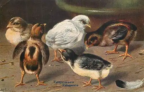Easter greetings fantasy vintage postcard chicks