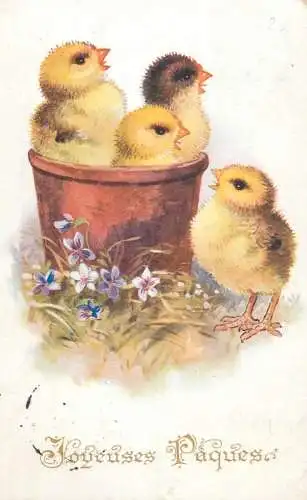 Easter greetings fantasy vintage postcard chicks in a basket flowers