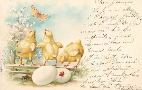 Easter greetings fantasy vintage postcard egg chicks