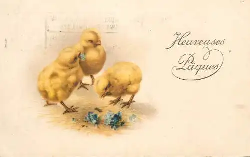 Easter greetings fantasy vintage postcard egg chicks lily of the valley