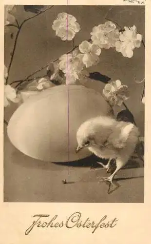 Easter greetings fantasy vintage postcard flowers eggs chicken