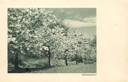 Postcard orchard scene Wostenkuhler