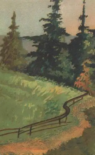 Postcard forest landscape