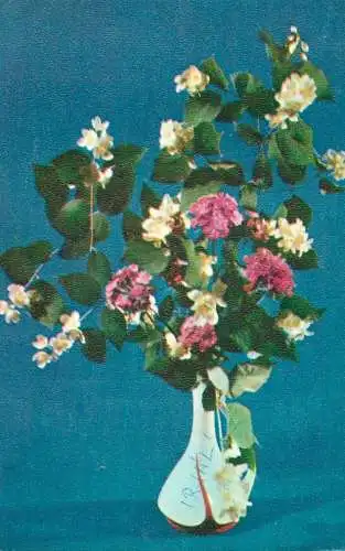 Postcard flowers vase 1976