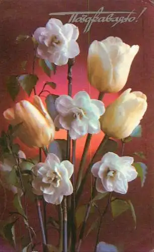 Postcard flowers rose tulip 1976