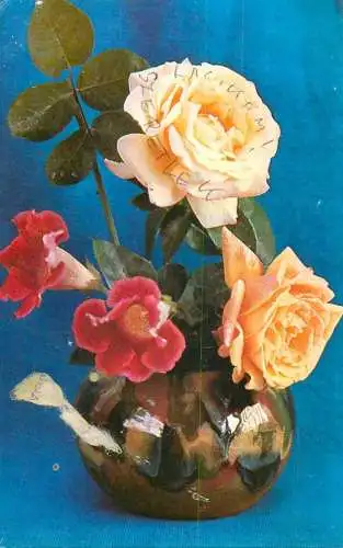 Postcard flowers rose vase 1977