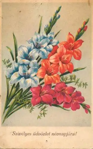 Postcard Hungary flower bouquet