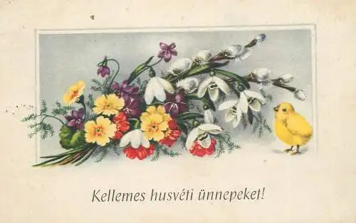 Postcard flower bouquet snowdrop chicken Hungary