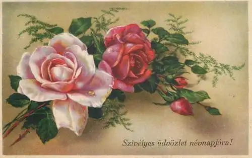 Postcard flowers rose Hungary