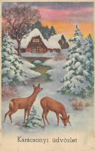 Postcard winter scene snow landscape and deer chalet