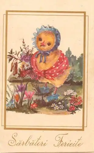 Postcard humanized chicken happy holidays