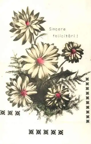 Postcard flower Romania 1990