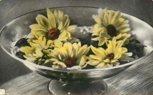 Postcard flower vase 1986