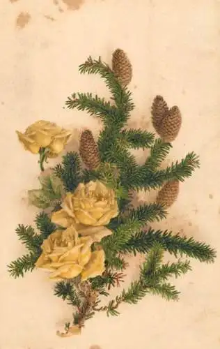 Postcard flowers rose and Christmas branches Romania 1922