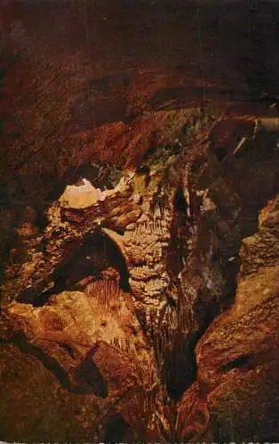 Postcard Belgium Grottes de Han Le Capitole