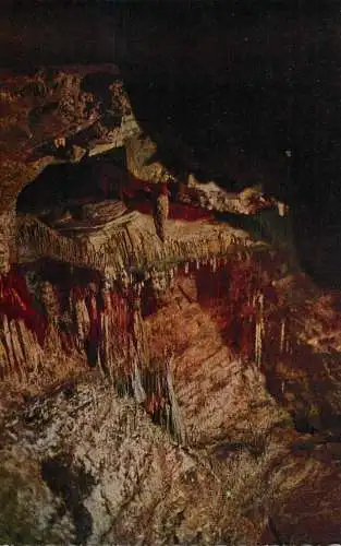 Postcard Belgium Grottes de Han La Mosquee