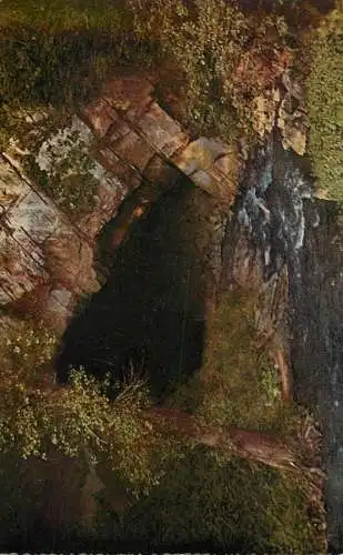Postcard Belgium Grottes de Han la Gouffre de Belvaux