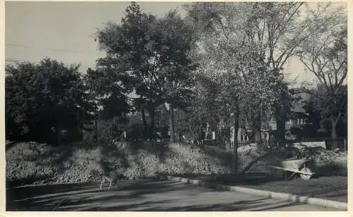 Real photo place to identify village scene forest