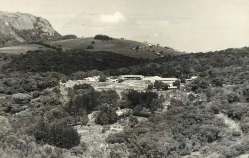 Real photo place to identify mountain resort forest