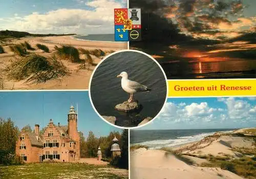 The Netherlands Renesse dunes sands palace seagull