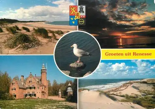 The Netherlands Renesse dunes sands palace seagull
