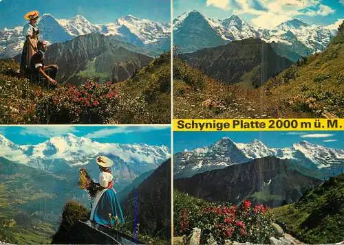 Switzerland Schynige Platte types and scenes & mountain landscapes multi view