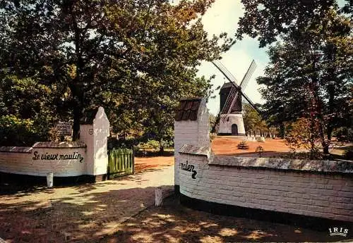 Windmill Holland Knokke Zoute Oude Molen