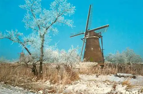 Windmill Holland Kinderdijk De Nederwaard