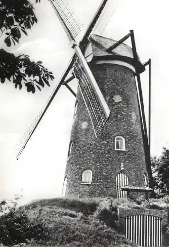 Windmill Holland Oelegem Stenen