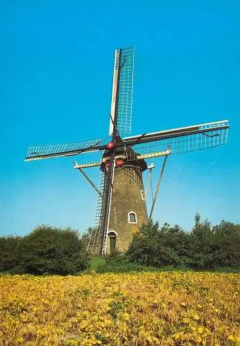 Windmill Holland Domburg mill