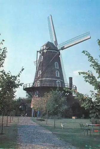 Windmill Holland Sint Pauwels Sint Gillis Waas Roomansmolen