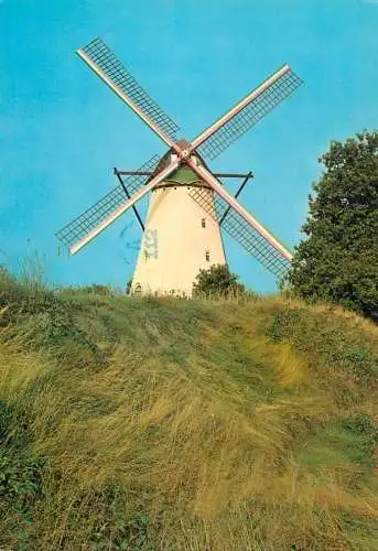 Windmill Holland Kasterlee Berenmolen