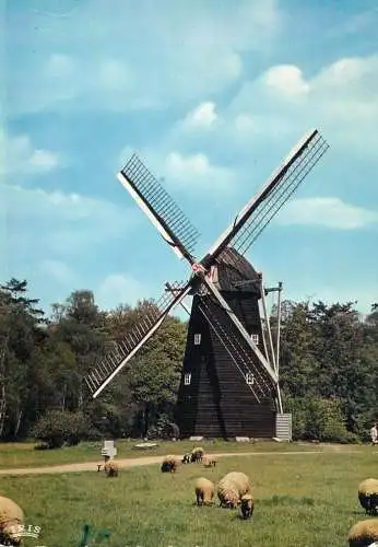 Windmill Holland domein Bokrijk Openluchtmuseum