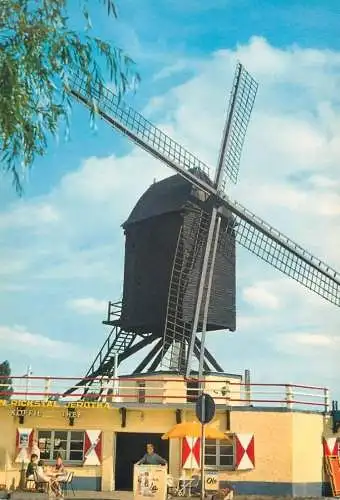 Windmill Belgium Antwerpen St. Anneplage