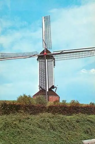 Windmill Holland Roosendaal molen de Hoop