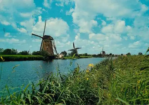 Windmill Holland De Overwaard Kinderdijk cows