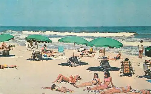 Beauties on the beach souvenir postcard