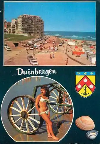Beach beauty Duinbergen different aspects and shells postcard
