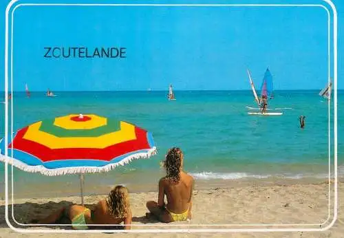 Zoutelande beach sunbathing beauties