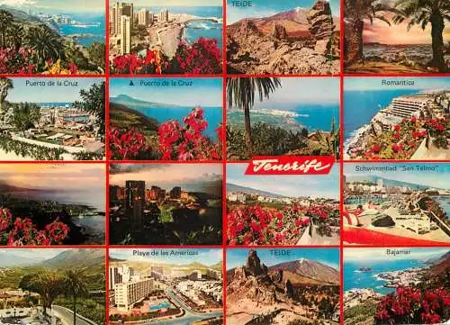 Spain Islas Canarias Tenerife Playa de las Americas