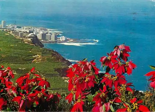 Spain Islas Canarias Tenerife Costa del Norte