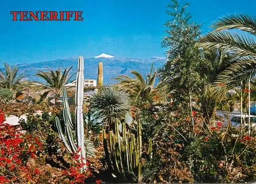 Spain Islas Canarias Tenerife Costa del Silencio