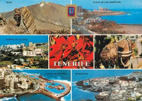 Spain Islas Canarias Tenerife playa de las Americas