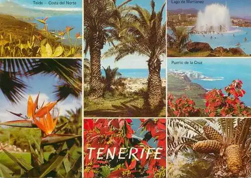 Spain Islas Canarias Tenerife Teide Costa del Norte