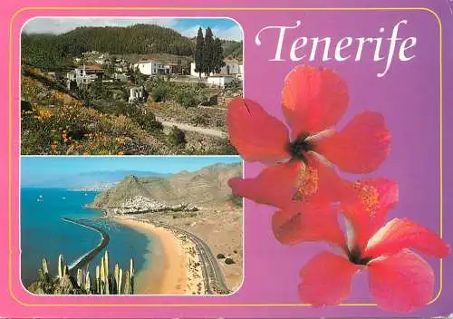 Spain Islas Canarias Tenerife Playa de las Teresitas
