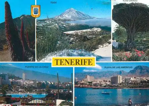 Spain Islas Canarias Tenerife Playa de las Americas