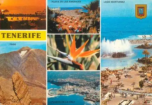 Spain Islas Canarias Tenerife Playa de las Americas